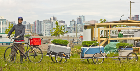 default image for post