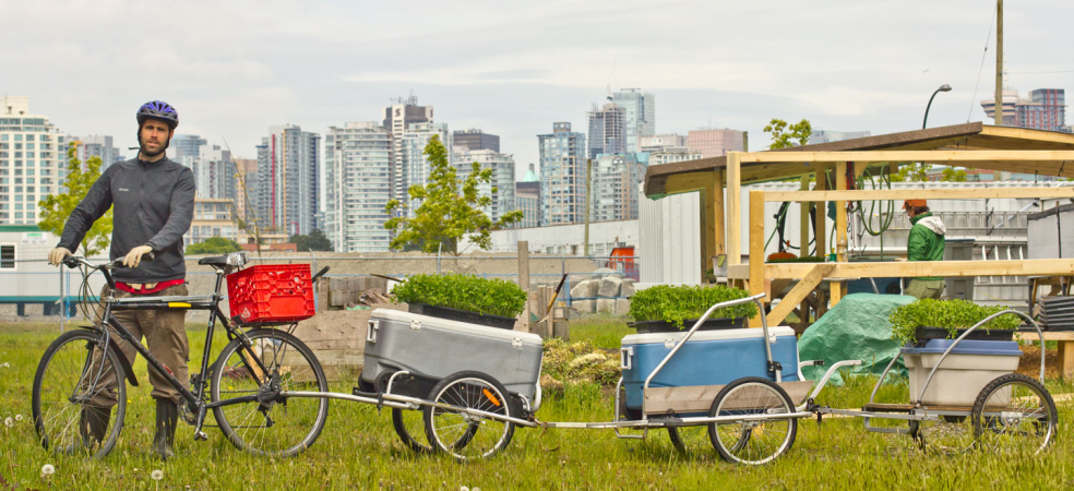 default image for post