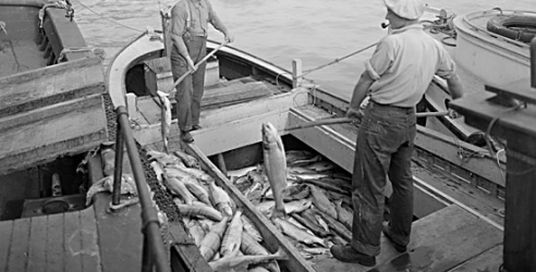 default image for post