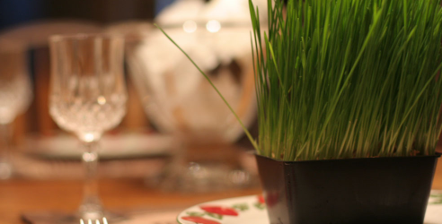 default image for post