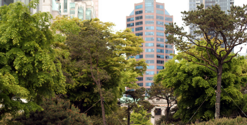 default image for post