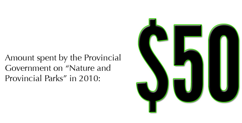 default image for post