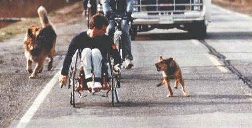 default image for post